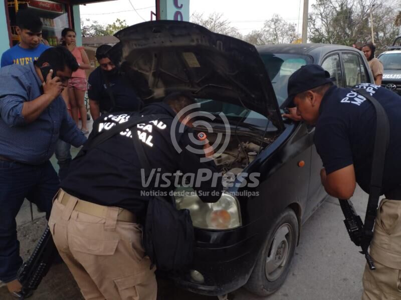 Al interior del vehículo tipo Atos fue localizada la culebra.