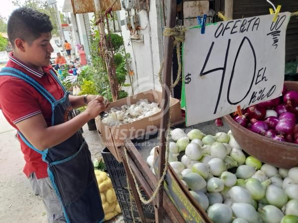 Se Dispara El Precio De Las Verduras Vista Press Noticias